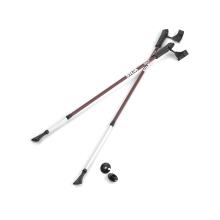 ΜΠΑΣΤΟΥΝΙΑ ΠΕΡΠΑΤΗΜΑΤΟΣ WALKING POLES SILVA