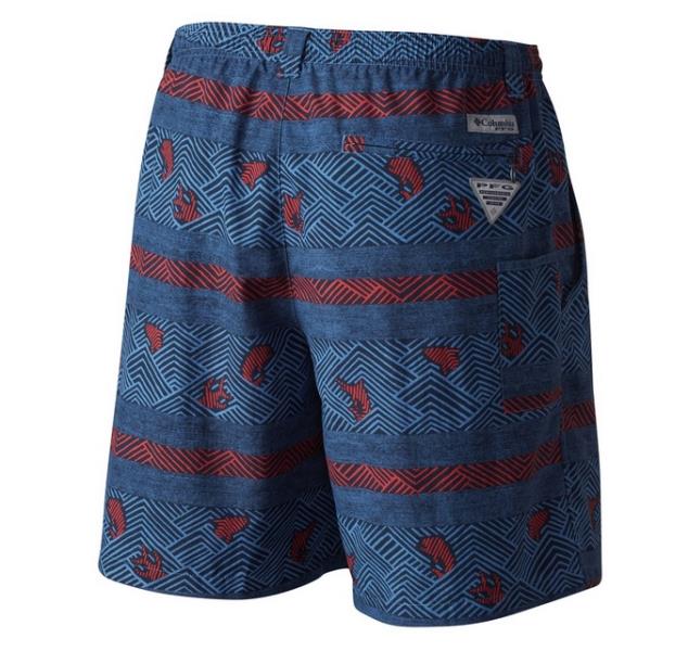 ΣΟΡΤΣ ΜΑΓΙΟ COLUMBIA Backcast II™ Printed Short