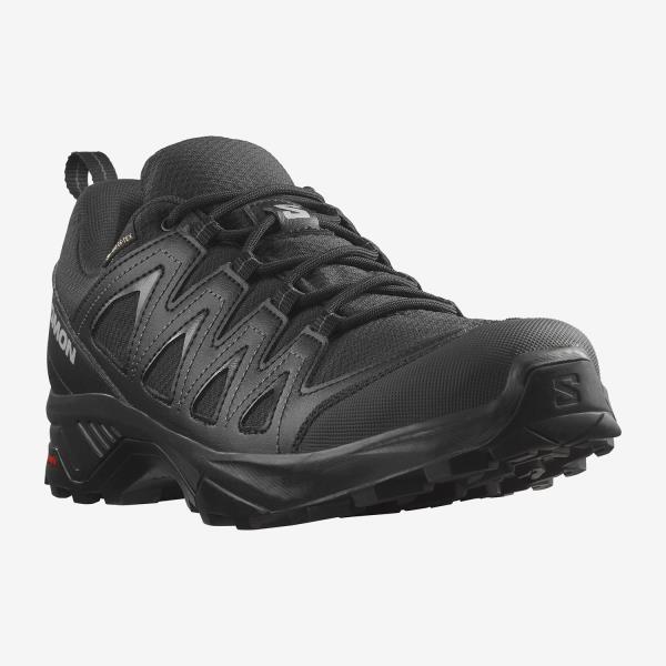 ΠΑΠΟΥΤΣΙΑ X BRAZE GTX® SALOMON